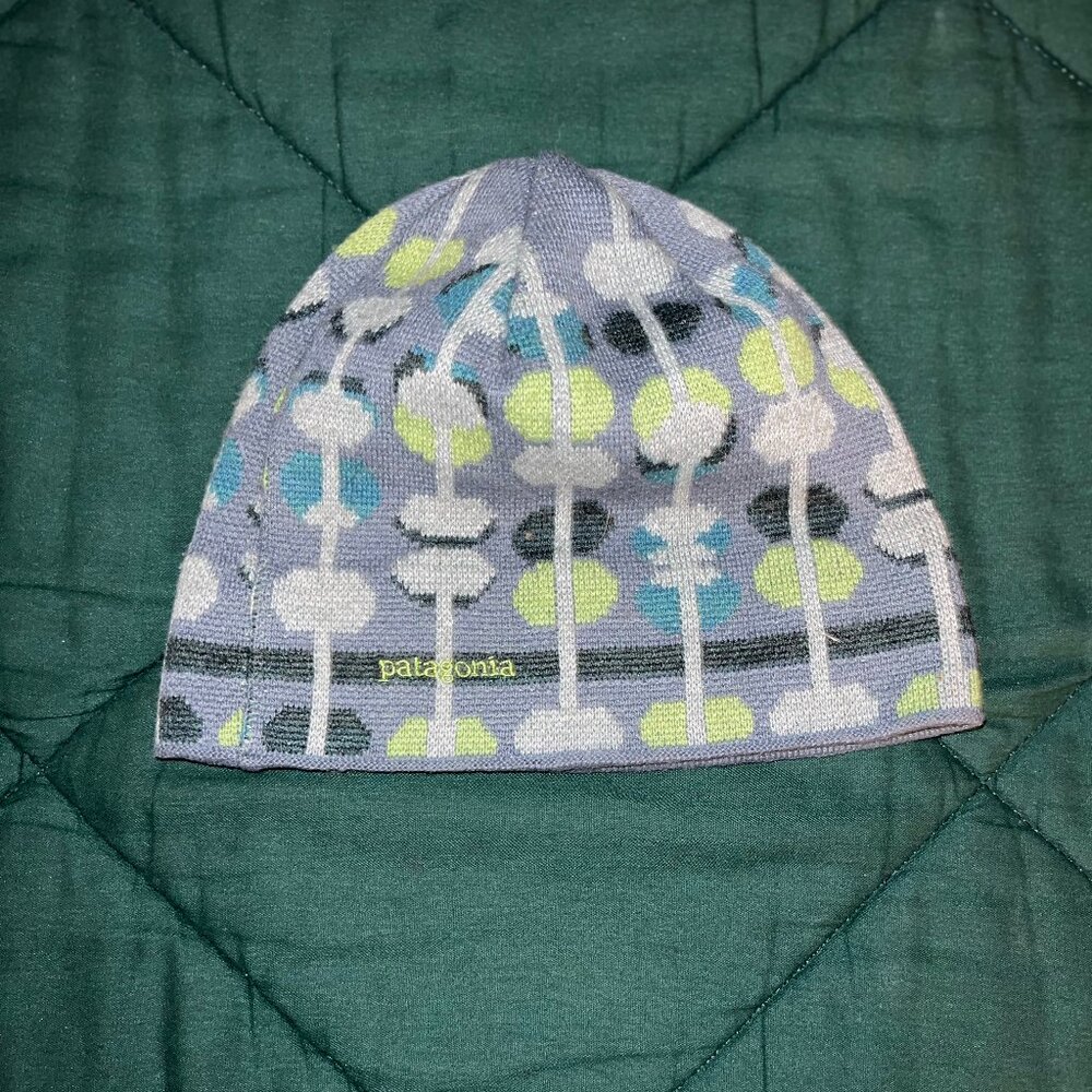 Patagonia wool blend beanie
